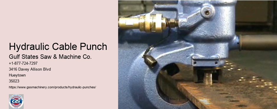 Portable Punching Unit