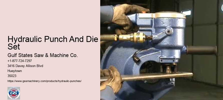 Hydraulic Punch Die